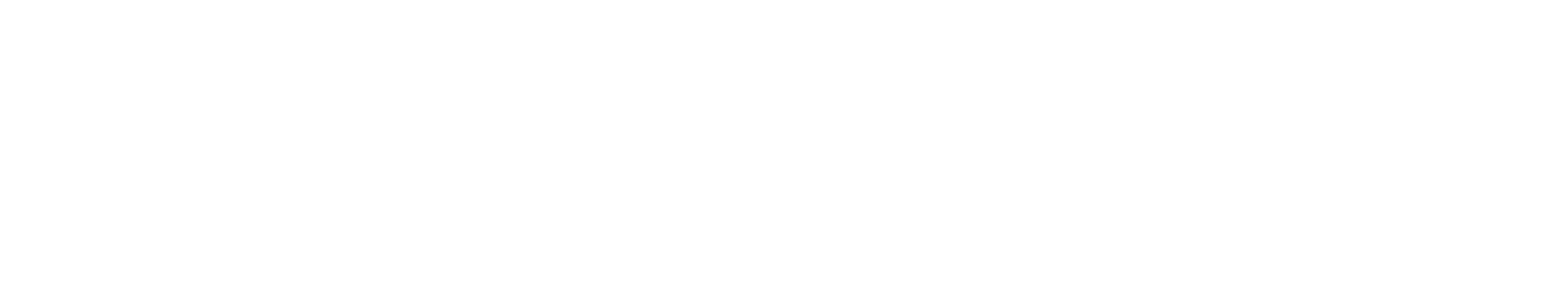 Advanced Automobile